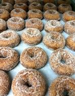 Our Famous Cider Donuts